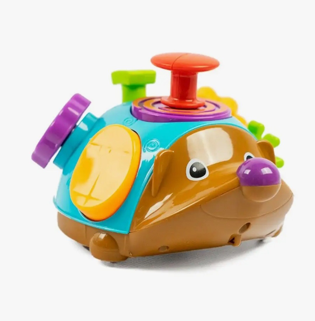 ERIZO SENSORIAL - Imagen 2