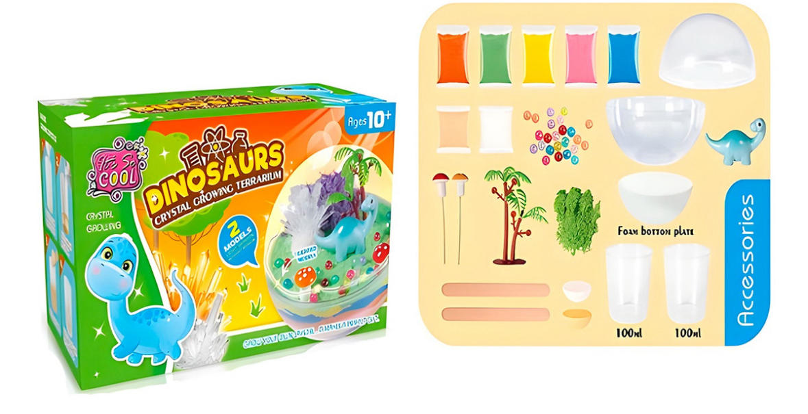 TERRARIO DINOSAURIO - Imagen 4