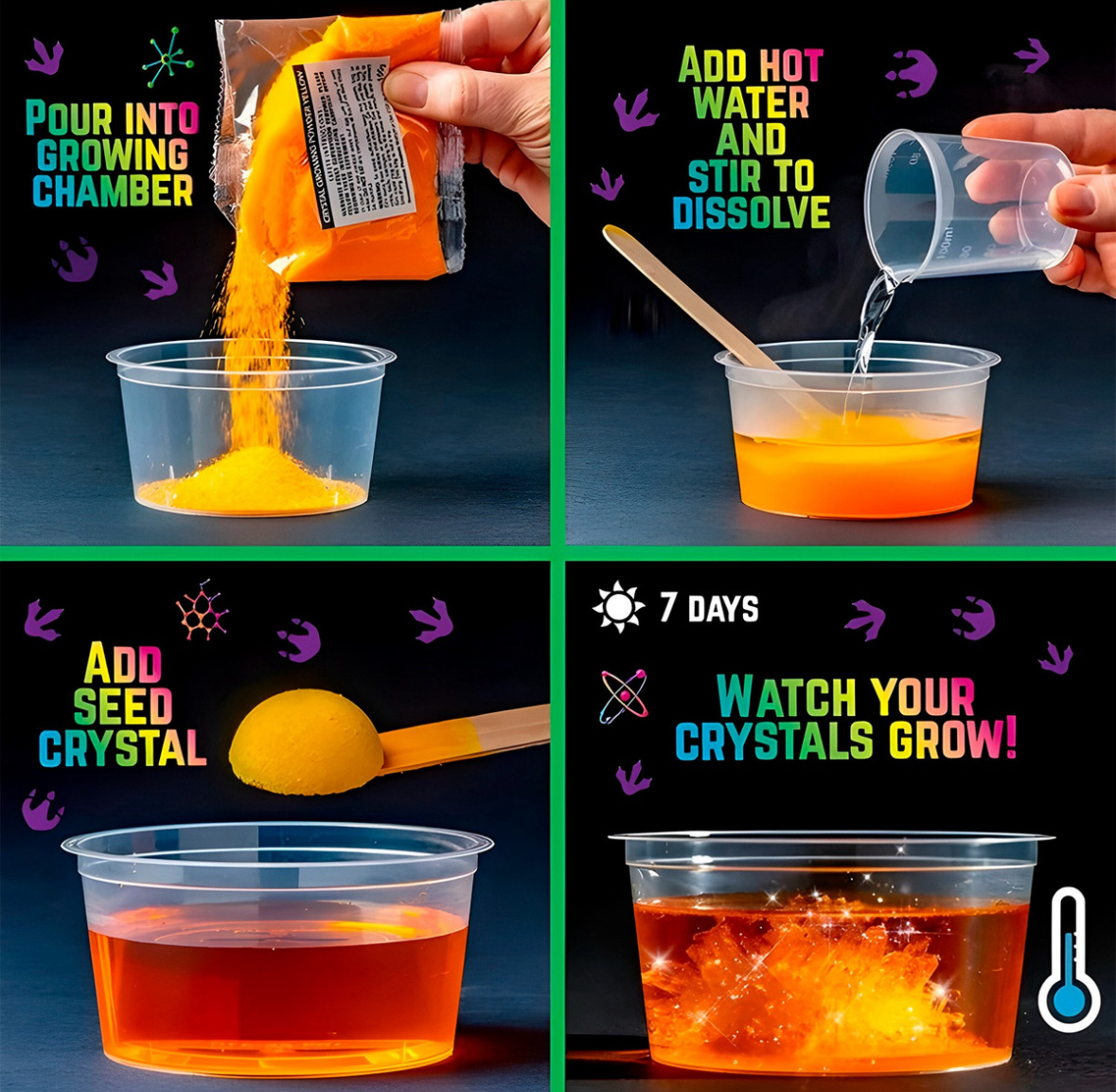 TERRARIO DINOSAURIO - Imagen 5