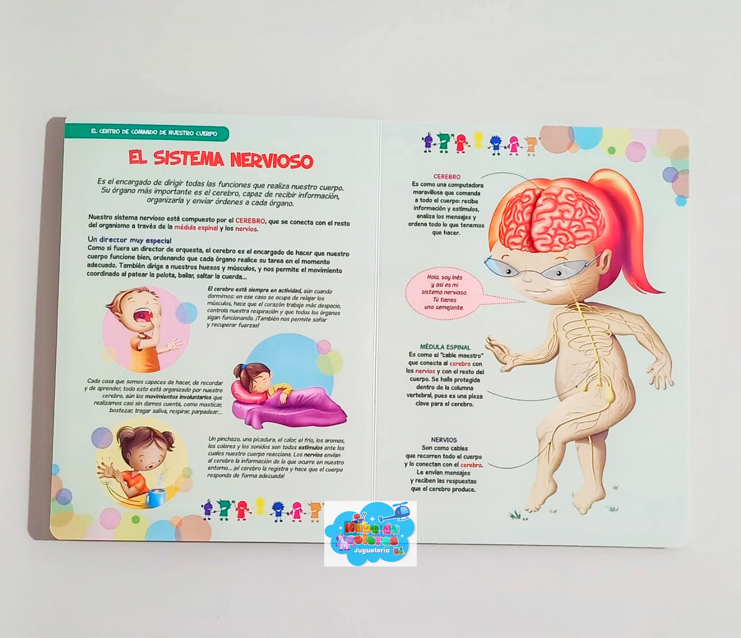 LOS PEQUES DESCUBRIMOS NUESTRO CUERPO - Imagen 5