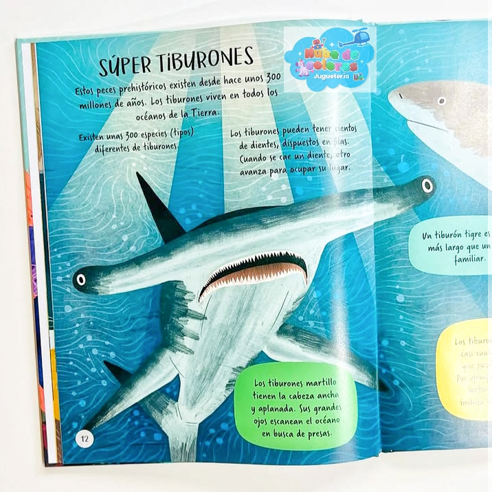 EXPLOREMOS EL OCÉANO - Imagen 3