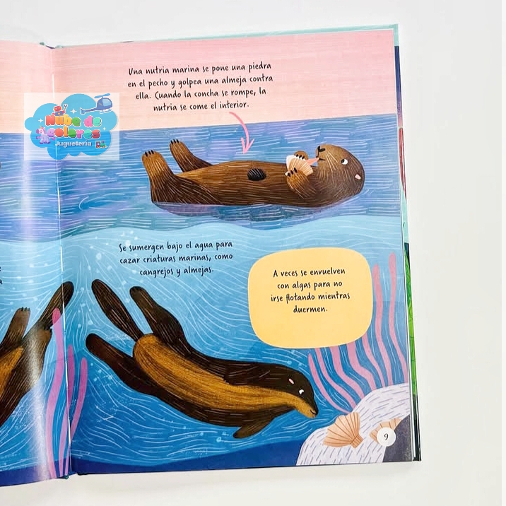 EXPLOREMOS EL OCÉANO - Imagen 4