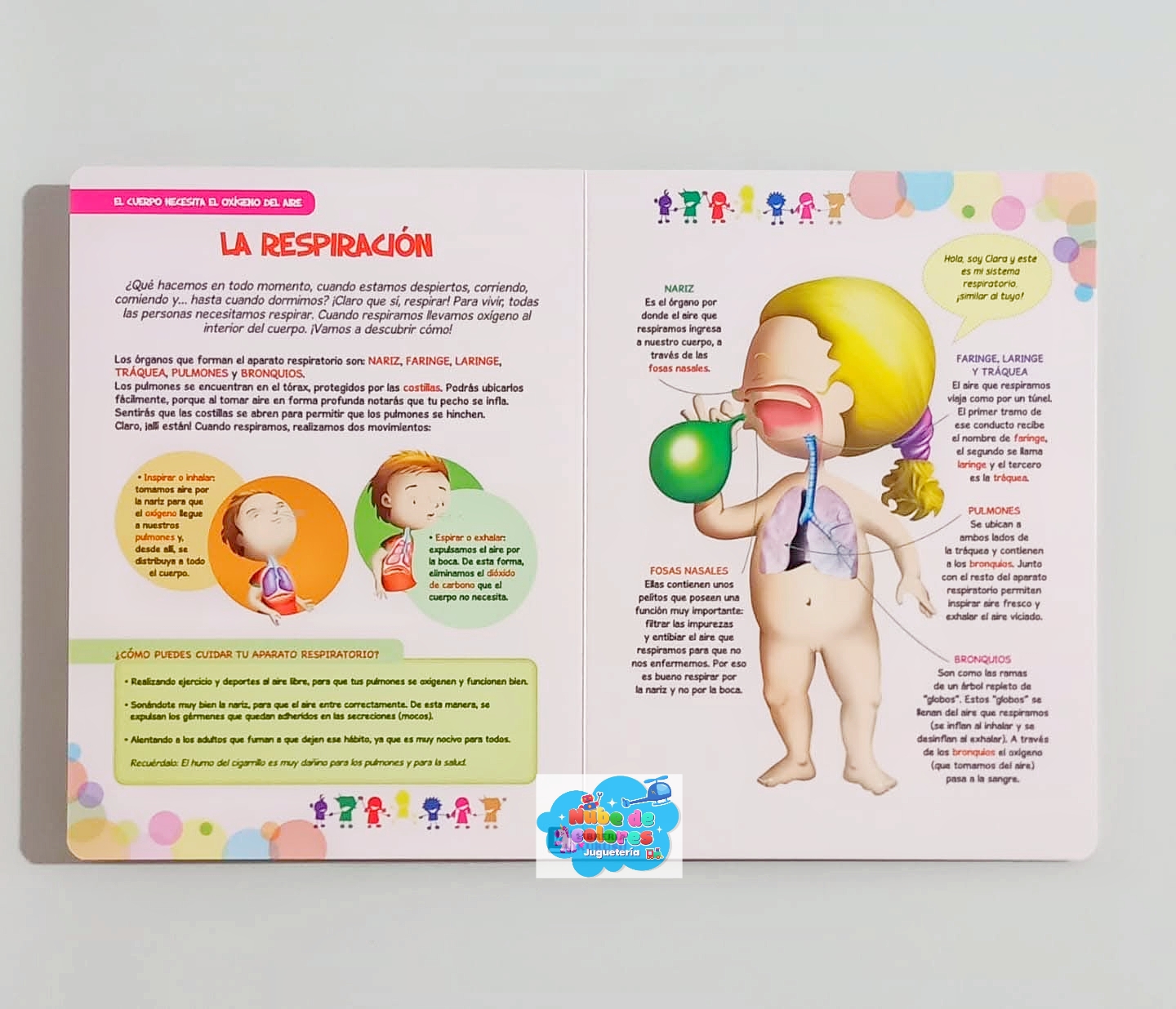 LOS PEQUES DESCUBRIMOS NUESTRO CUERPO - Imagen 3